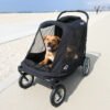 Real Stories: How Dog Strollers Changed Life for Dogs with Mobility Problems