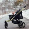 When Your Cat Wants an Adventure Too: Why Prams and Strollers Are Winning Over Pet Lovers
