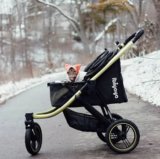 When Your Cat Wants an Adventure Too: Why Prams and Strollers Are Winning Over Pet Lovers